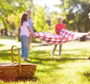 5 atividades para curtir o melhor da primavera em família